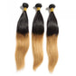 Straight Ombre Virgin Remy Hair #1B/27